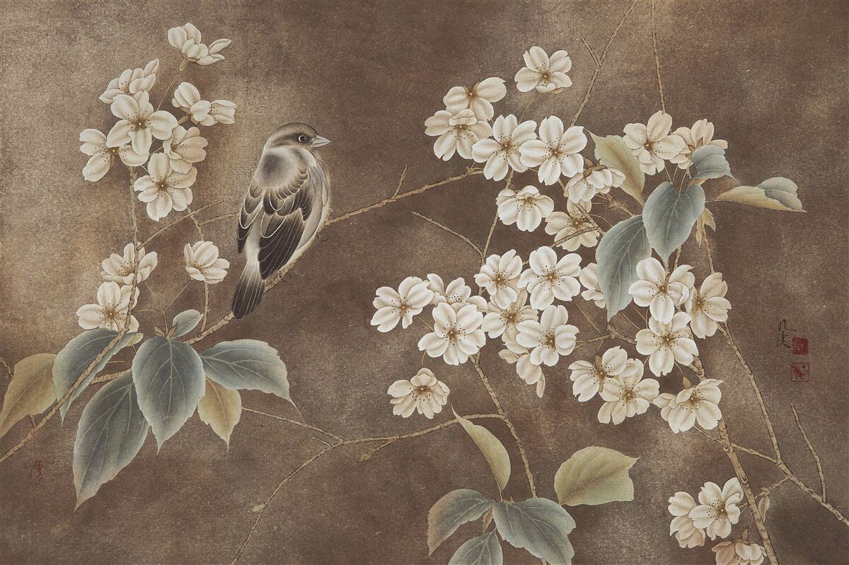 Fototapeten Spatz auf einem Ast mit schneebedeckten Blumen