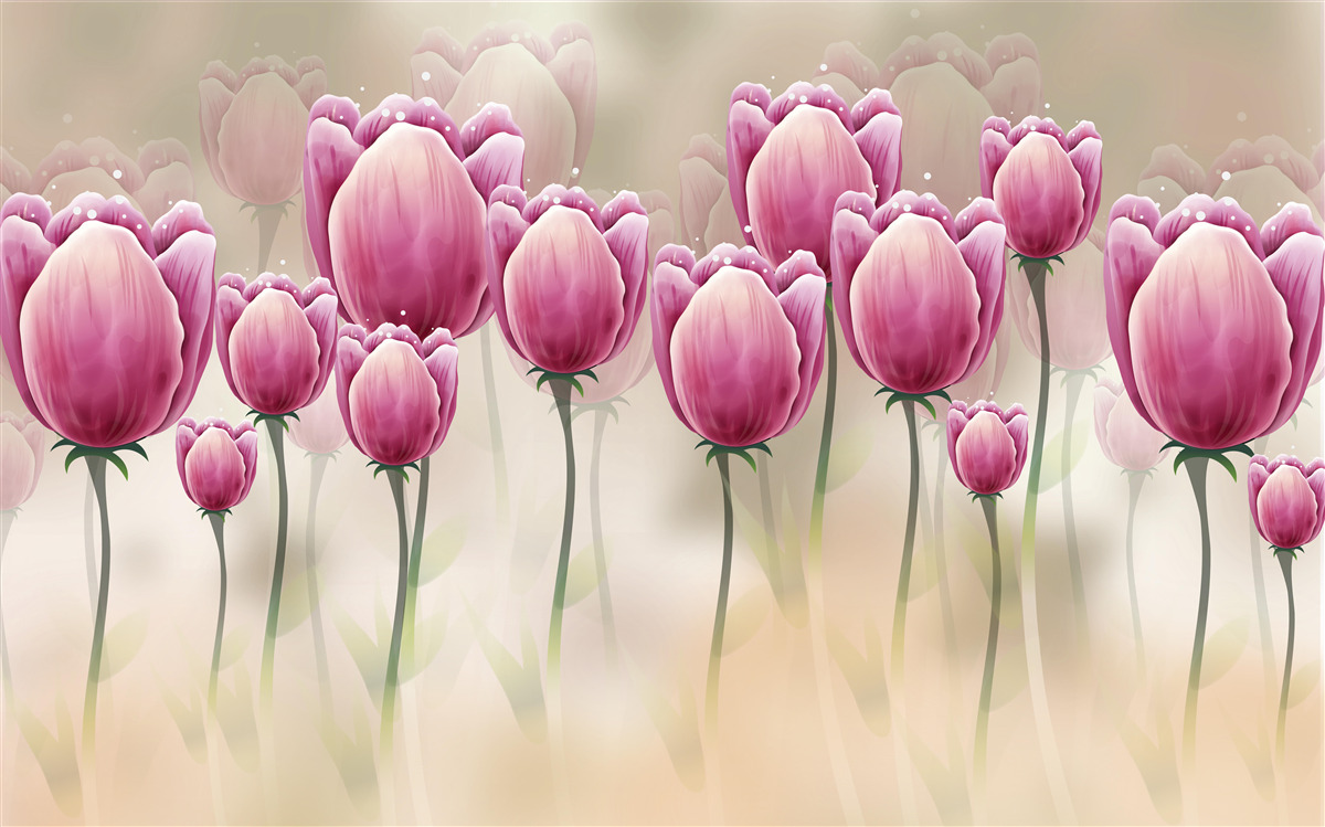 Fototapeten Geschlossene kriminierte Tulpen