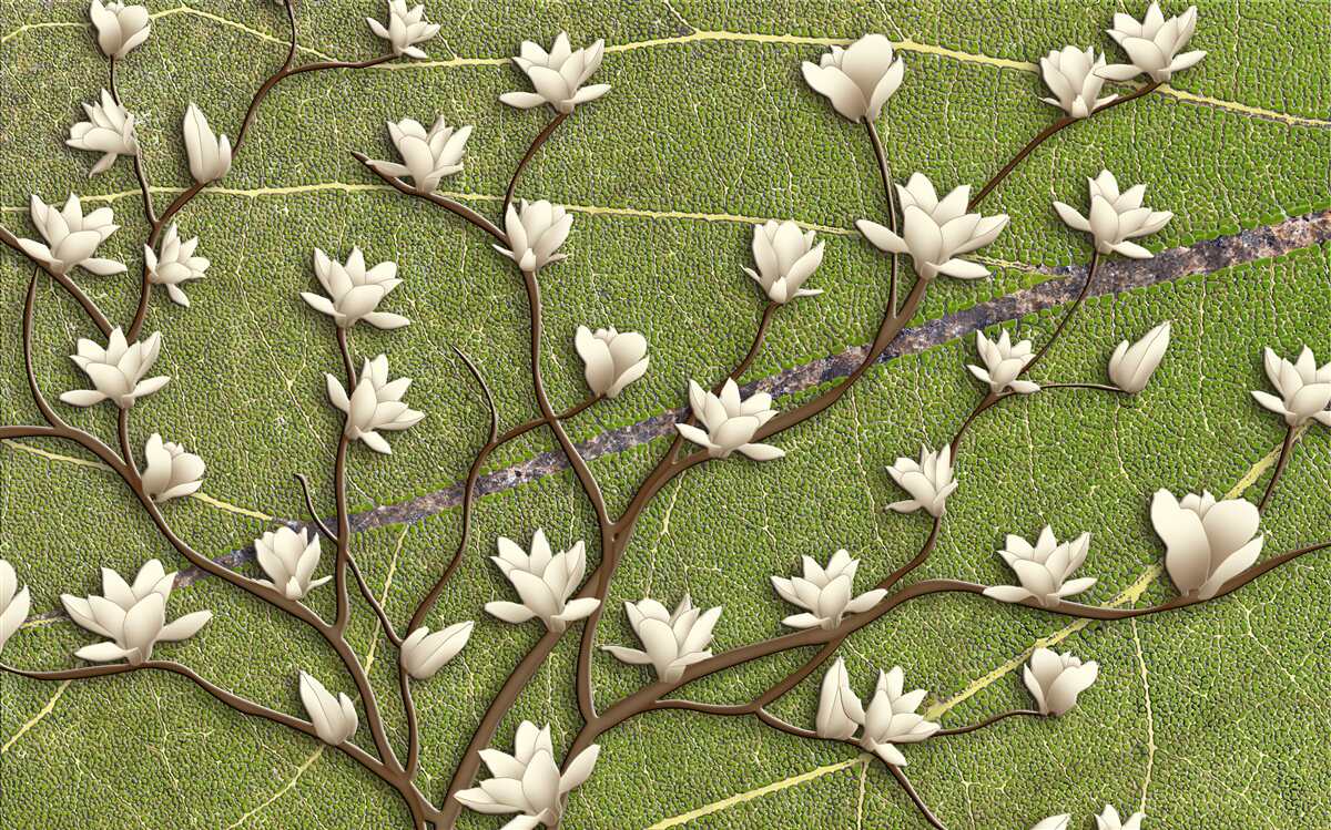 Fototapeten Schnee -White -Magnolienzweige auf grünem Hintergrund