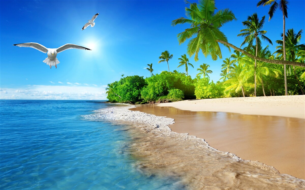 Fototapeten Eine Einstellung der Insel auf See