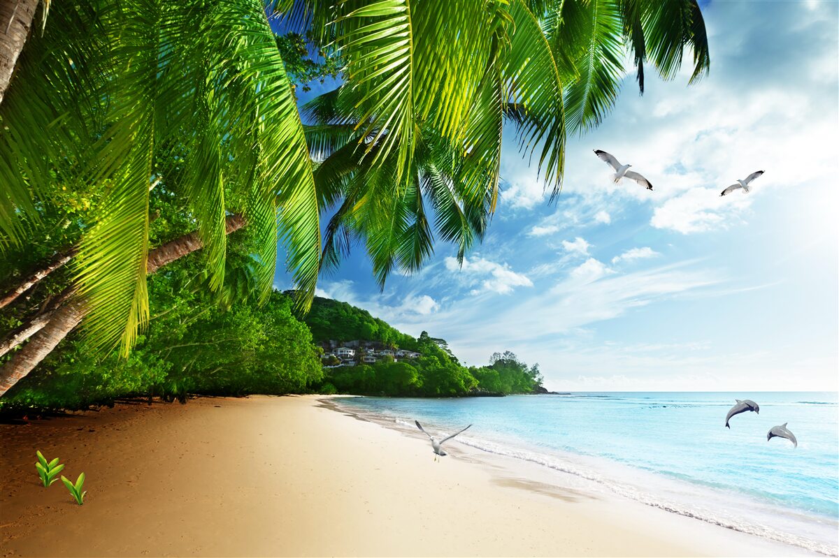 Fototapeten Eine einsame Insel mit einem Sandstrand