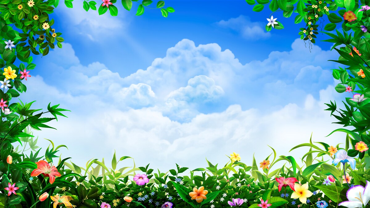 Fototapeten Grüne Blätter schimmern unter blauen Wolken