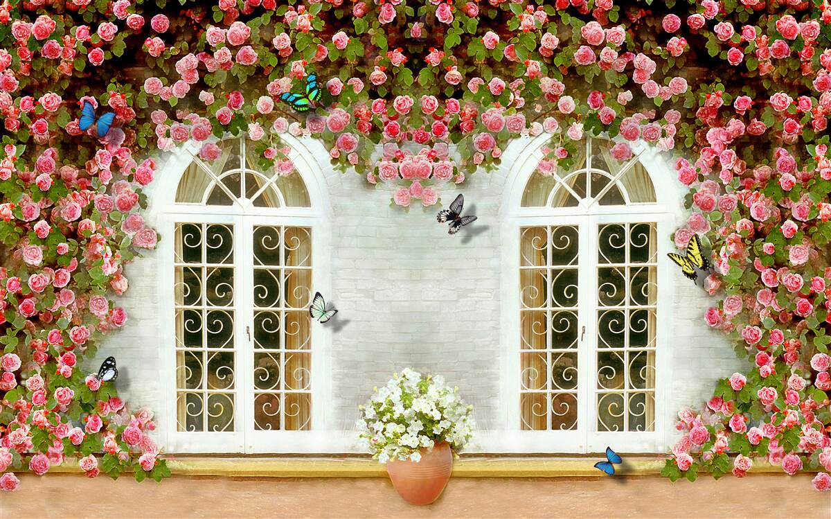 Fototapeten Die Fenster sind von blühenden Rosen umgeben