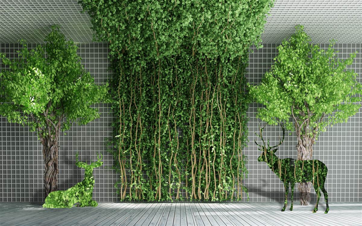 Fototapeten Der grüne Wald umgibt die Hirschszene