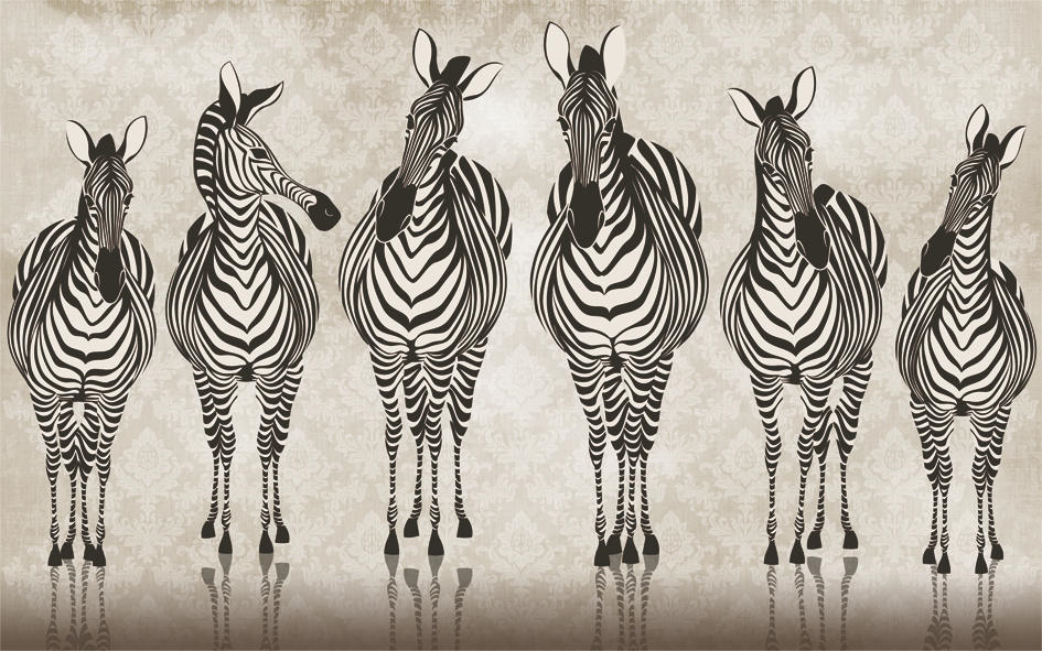 Fototapeten Eine Gruppe von Zebras geht zu ihrem Tierheim