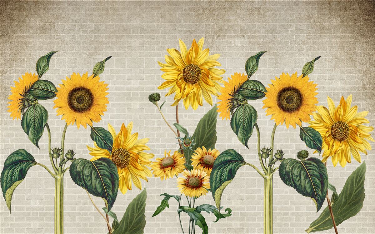 Fototapeten Ziegelmauer mit Sonnenblumen im Vordergrund