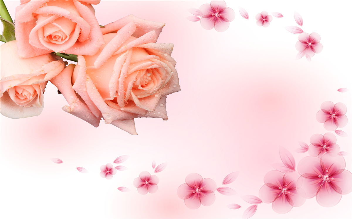 Fototapeten Rosa Blumen gegen die gleiche Farbe