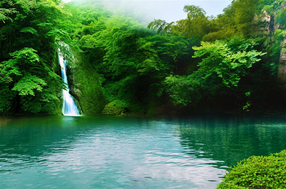 Fototapeten Waldwasserfall fließt aus einem hohen Berg