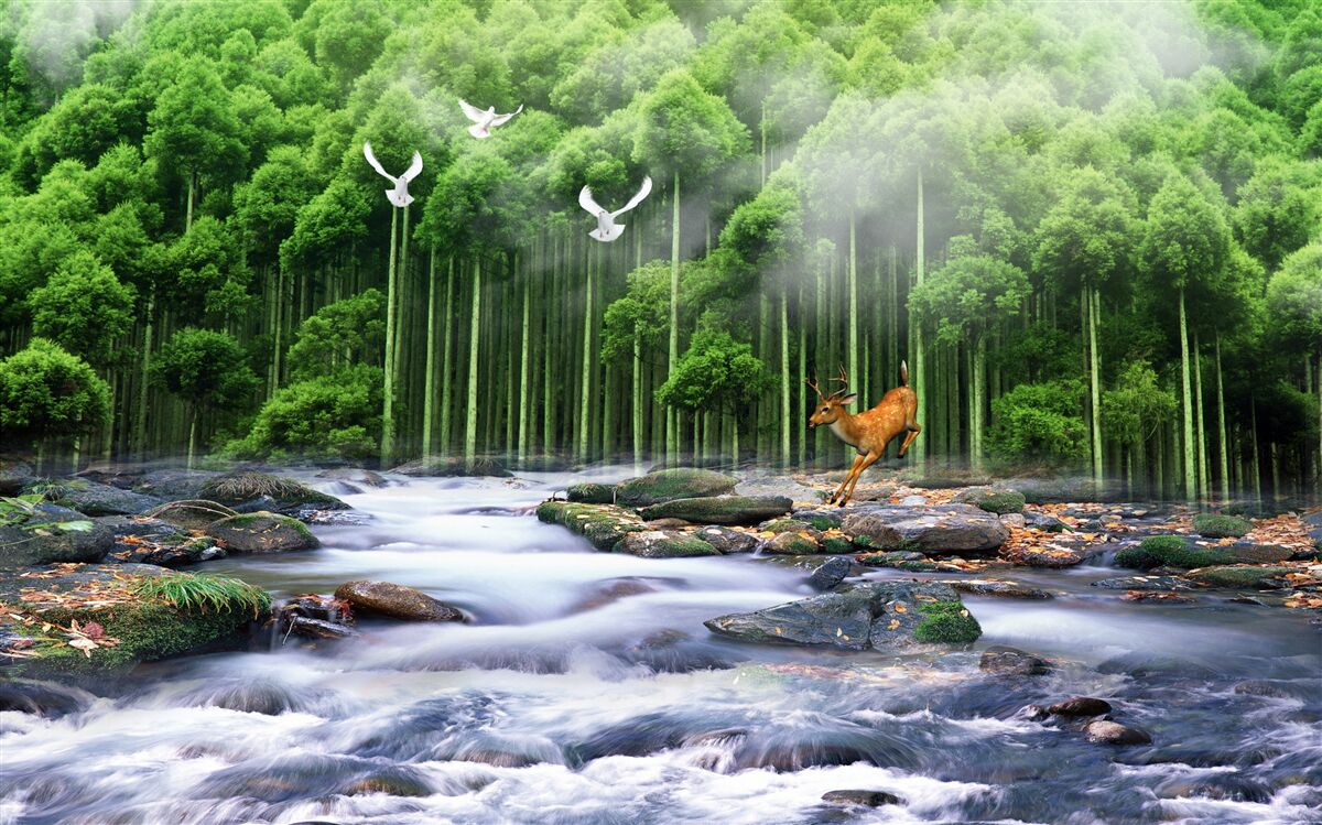 Fototapeten Wald Natur- und Kaskadenwasserfälle