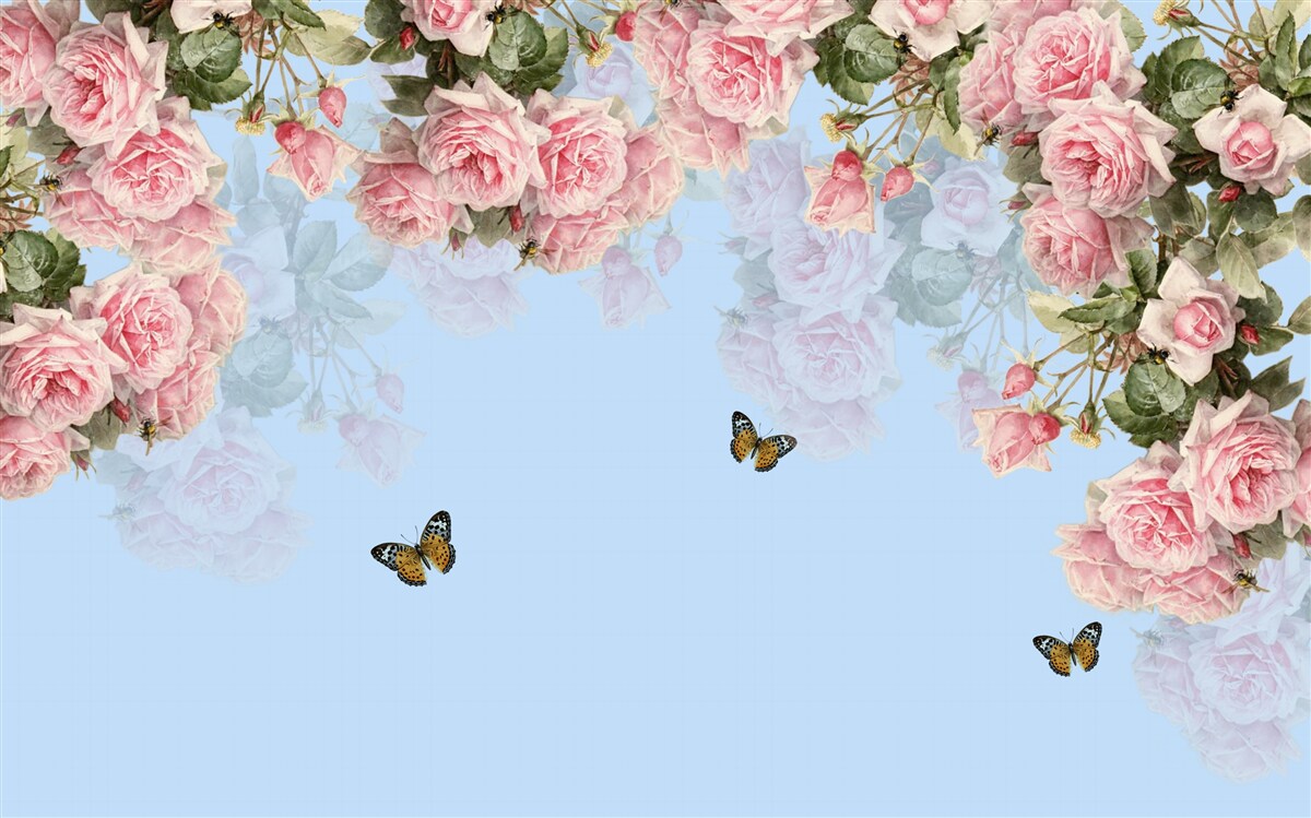 Fototapeten Es gibt rosa Rosen auf dem blauen Hintergrund