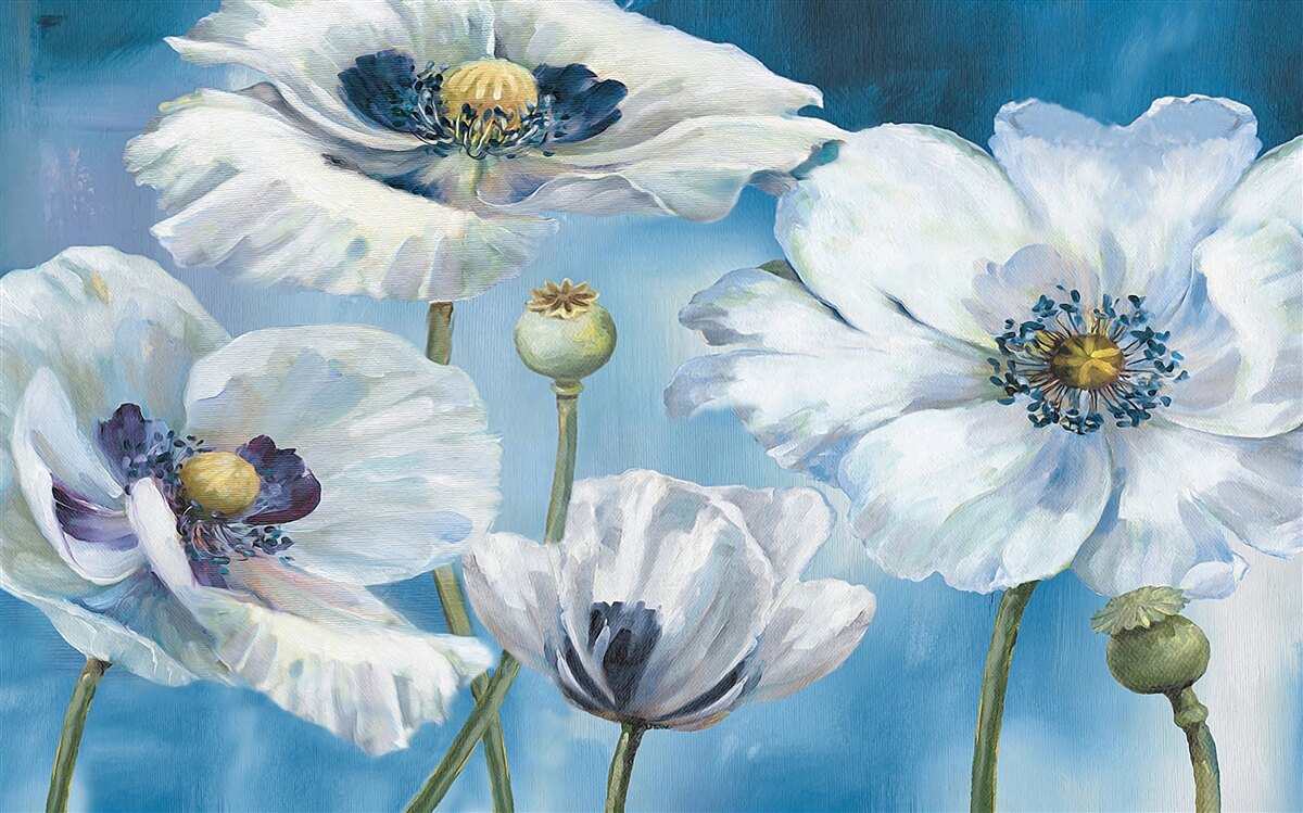 Fototapeten Riesige weiße Mohnblumen
