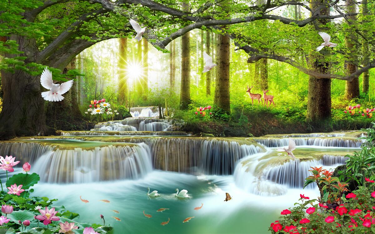 Fototapeten Wasserfälle an den Waldschwellen im Morgengrauen