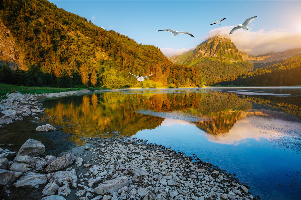 Fototapeten Vögel, die über Bergwasser fliegen