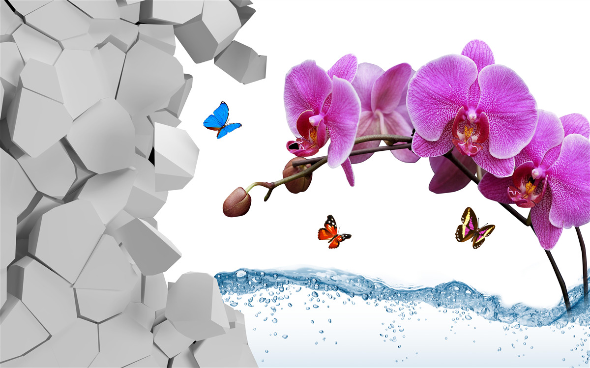 Fototapeten Lila Orchidee und Schmetterlinge an den Zweigen