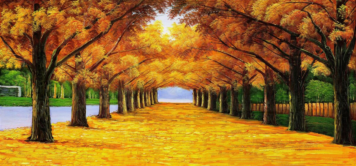 Fototapeten Herbstzeit im Park mit Bäumen mit Blättern bedeckt