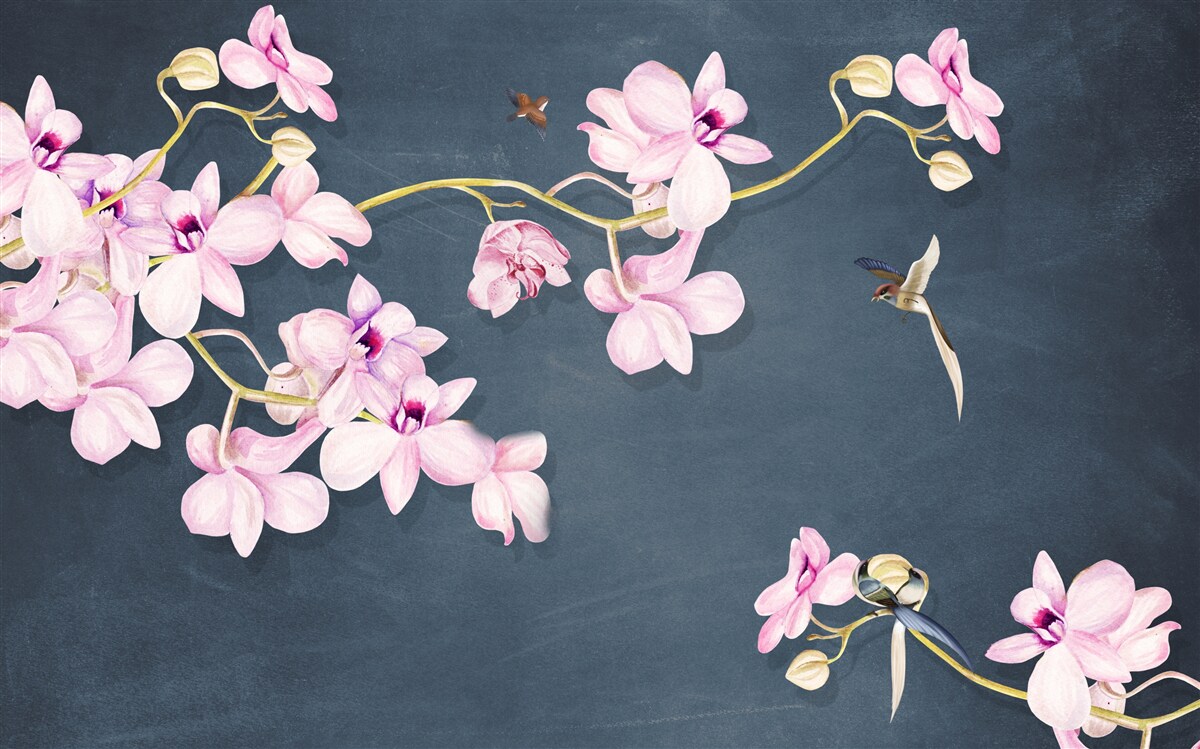 Fototapeten Orchideen in einem zarten, lila Schatten