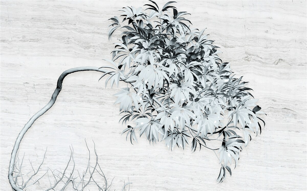 Fototapeten Ein Baum, der alleine im Wind steht