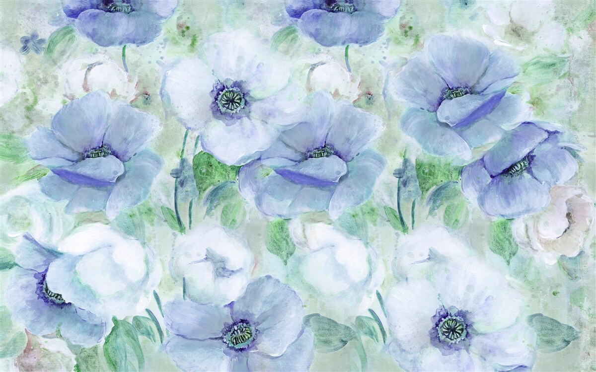 Fototapeten Große helle Mohnblumen