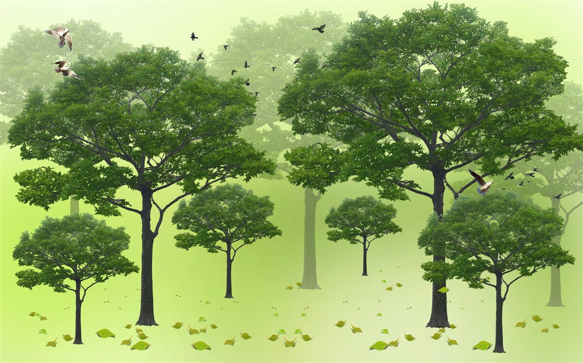 Fototapeten Laubbäume sind grün