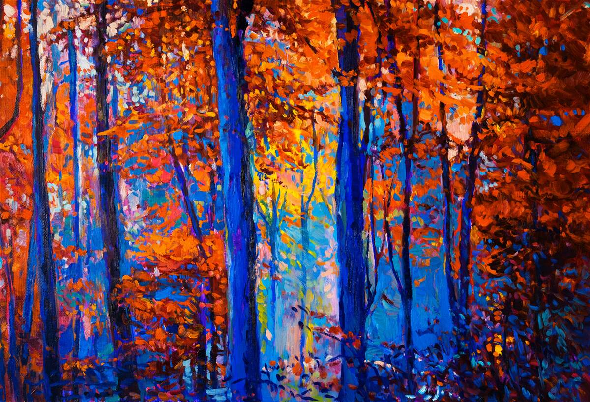 Fototapeten Farbkontrast im Wald im Herbst