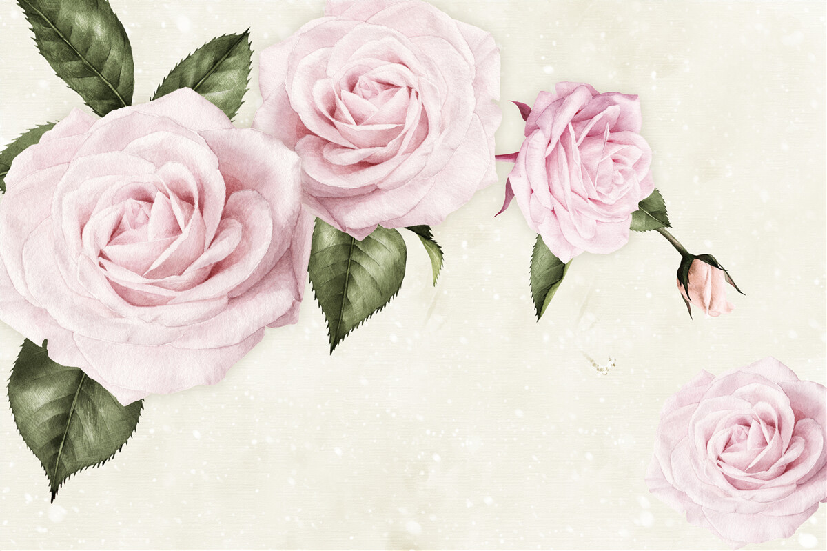 Fototapeten subtile rosa Rosen auf einem weißen Hintergrund