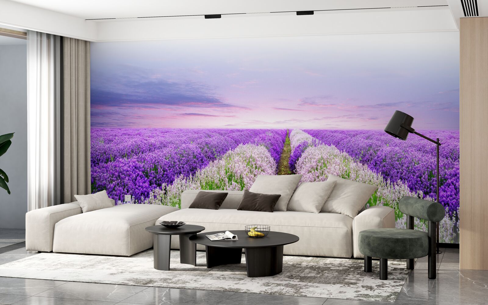 Fototapeten Feld mit einem duftenden Lavendel in den Wiesen