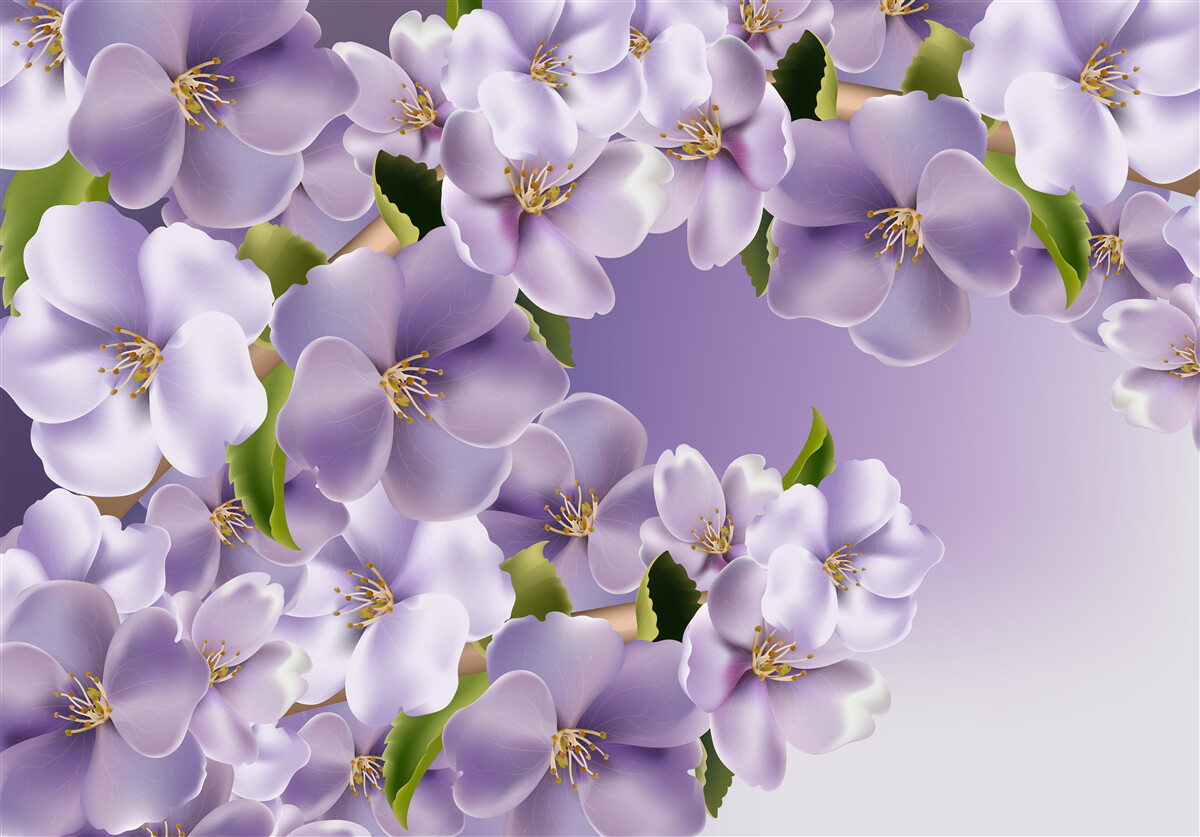 Fototapeten Subtile Fliederschattierungen in einer zarten Orchideenblume