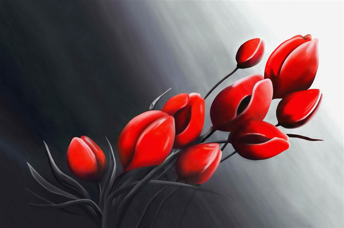 Fototapeten leuchtend rote Tulpen, die noch nicht geöffnet sind