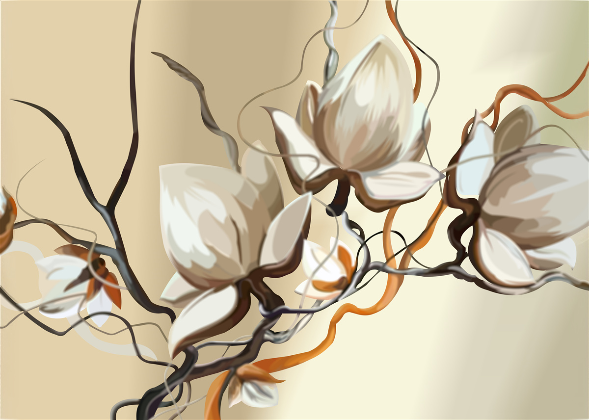 Fototapeten Magnolienzweige blühen weiß