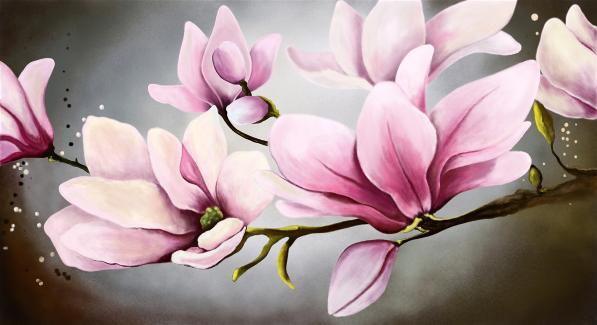 Fototapeten Magnolien mit einem subtilen Aroma