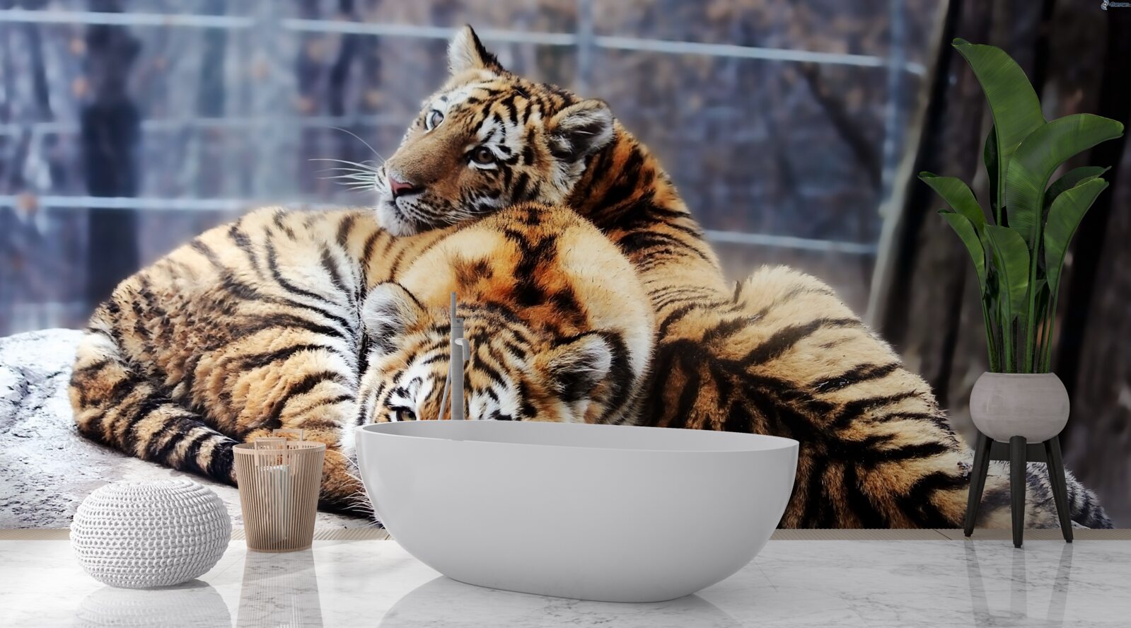 Fototapeten Schlafende Tiger haben Schönheit