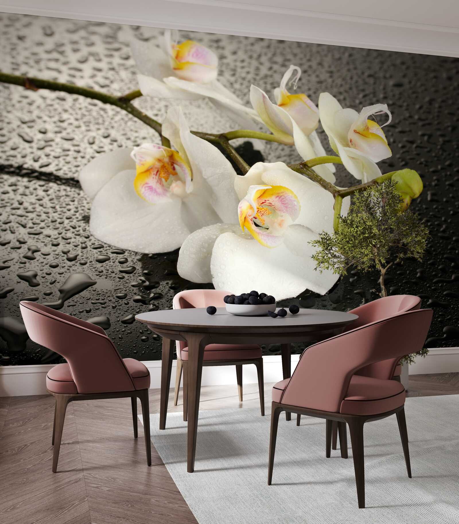Fototapeten Schnee -White -Orchidee nach starkem Regen