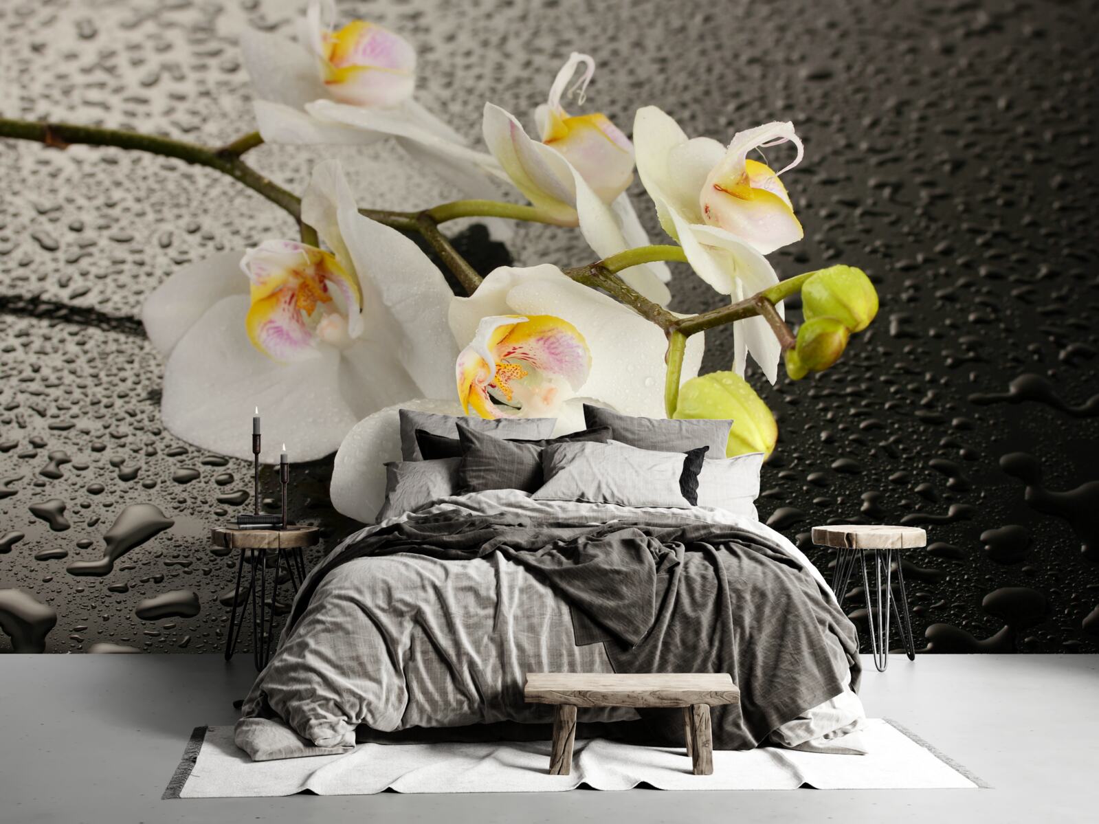 Fototapeten Schnee -White -Orchidee nach starkem Regen
