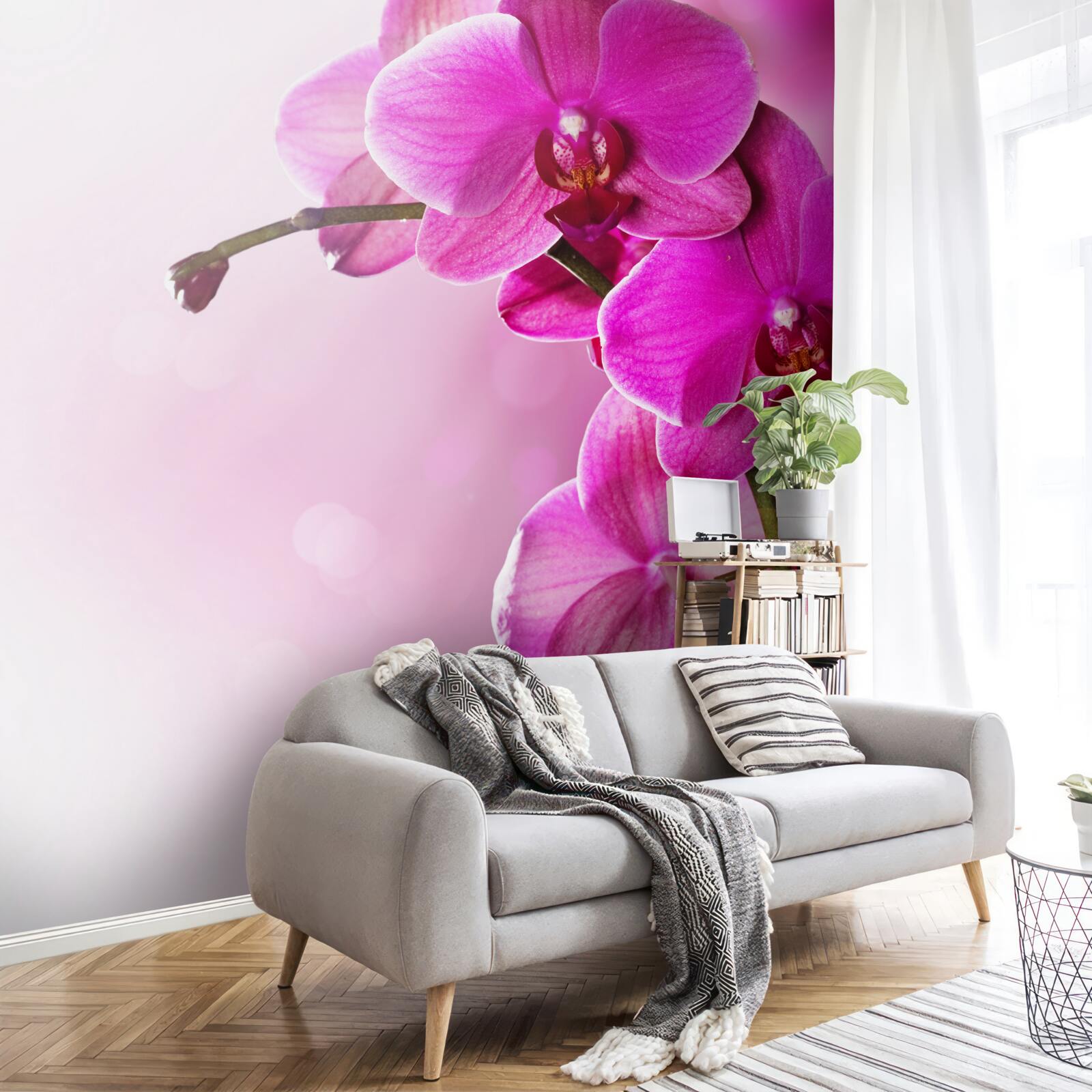 Fototapeten Orchidee und kleiner Donut