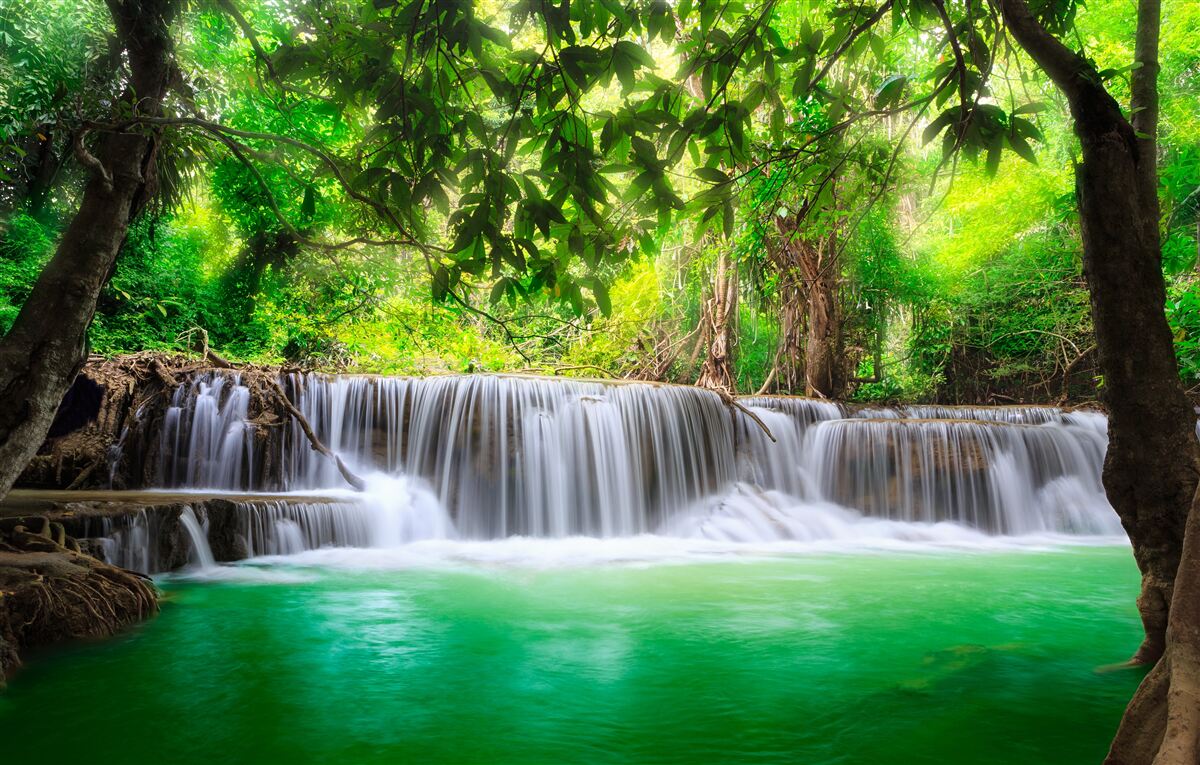 Fototapeten Der Waldwasserfall versorgt sein Wasser mit einer Smaragdfarbe