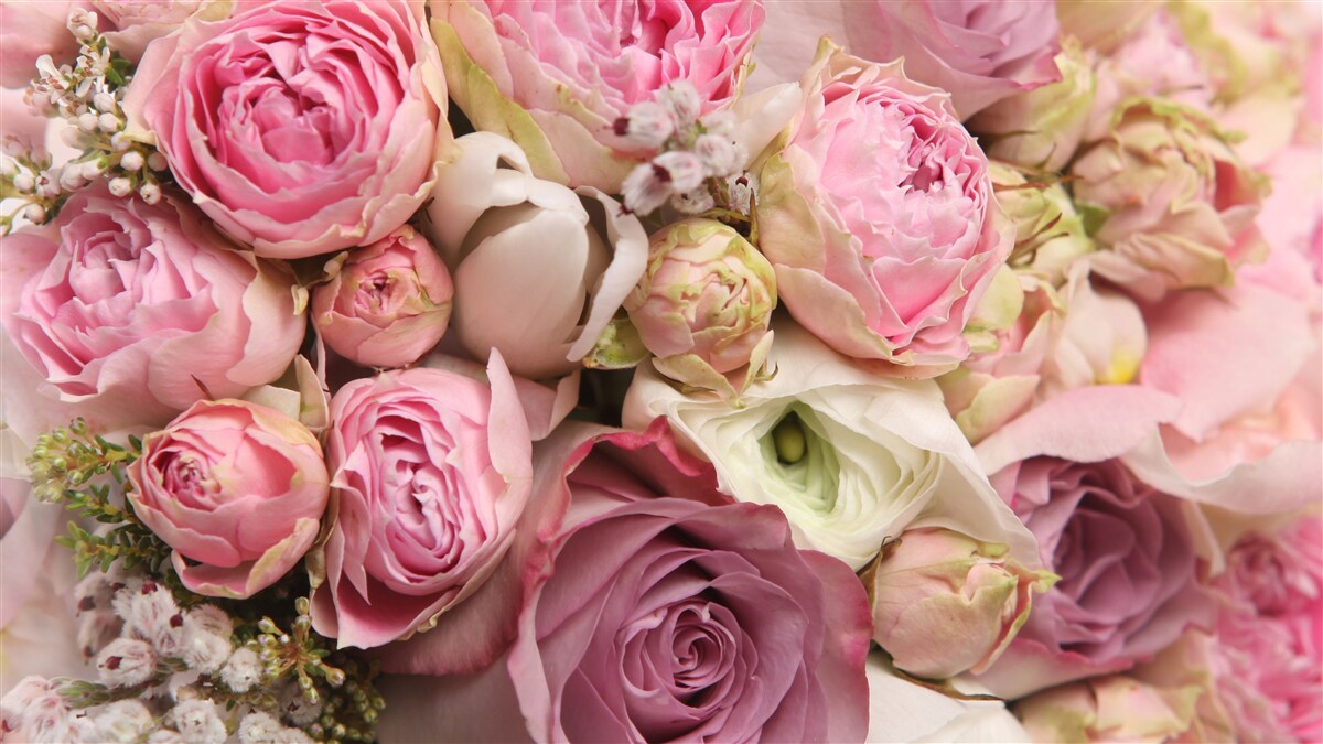 Fototapeten Ein zartes Blumenstrauß mit einem romantischen Akzent