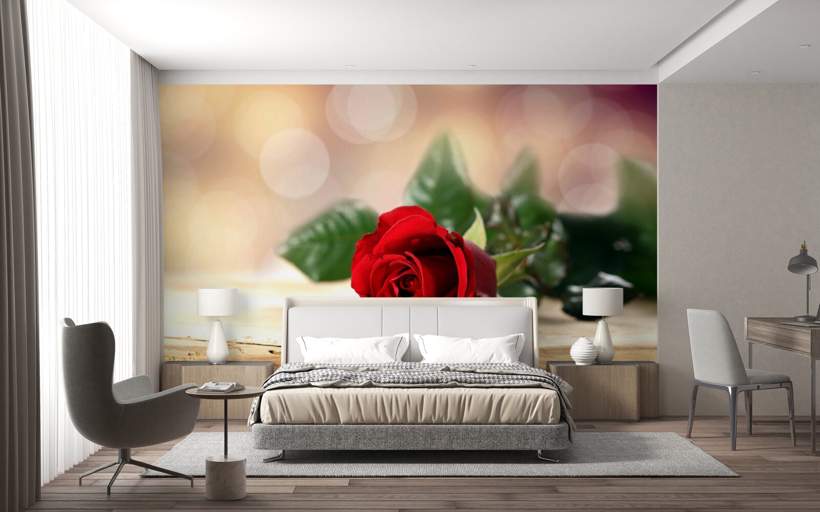Fototapeten Eine einzelne Rose mit einem zarten scharlachroten Farbton