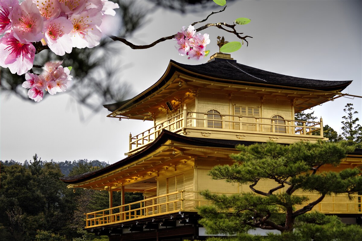 Fototapeten Sakura und das buddhistische Kloster