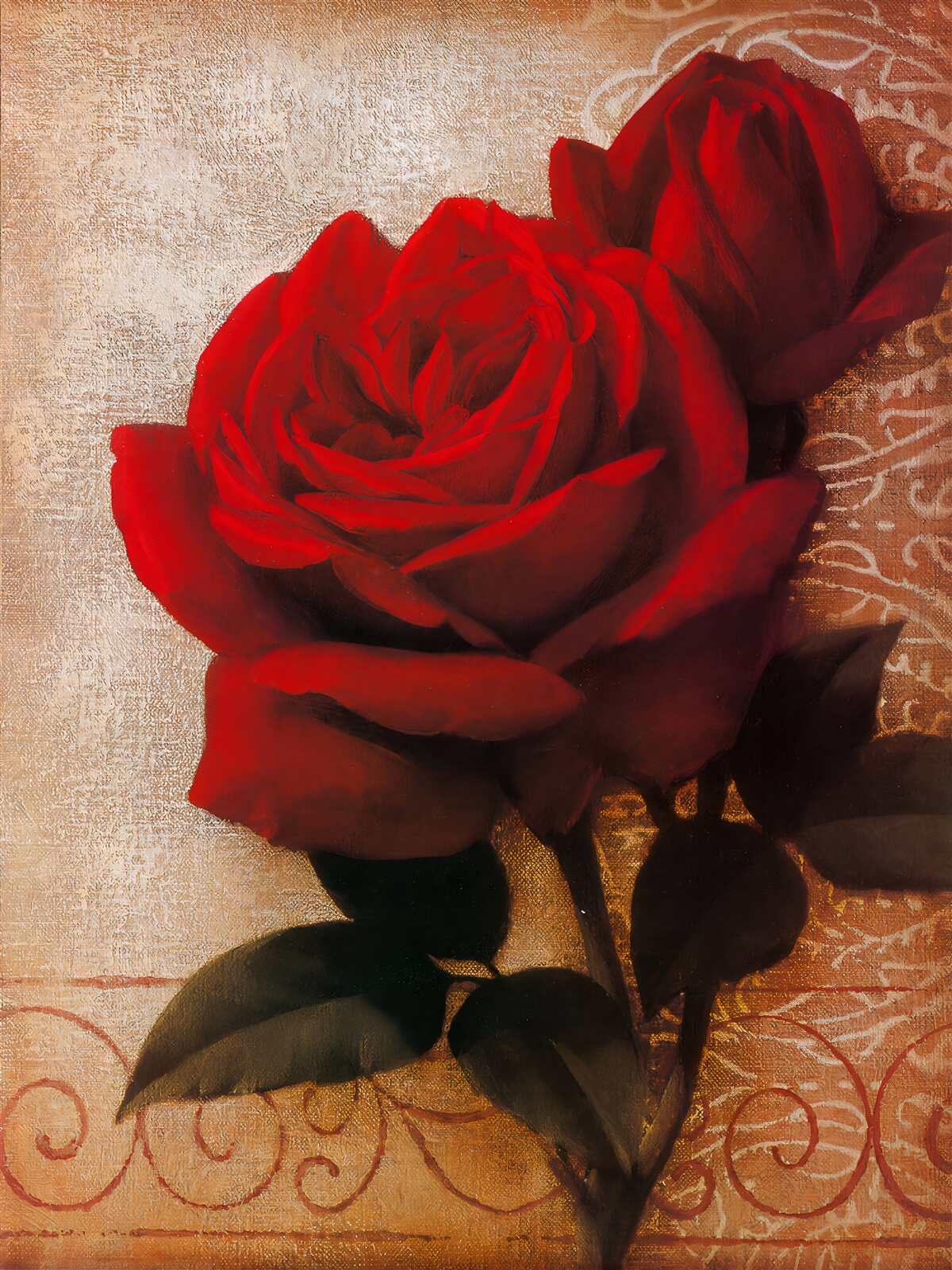Fototapeten Die Königin der Rosen in Rot