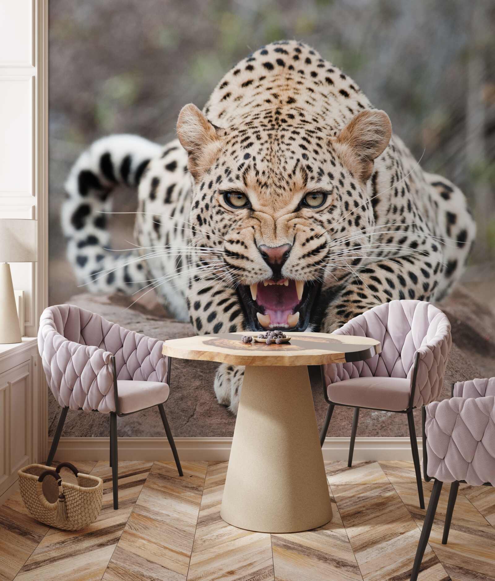 Fototapeten Aufgeregter Leopard, der sich auf den Sprung vorbereitet