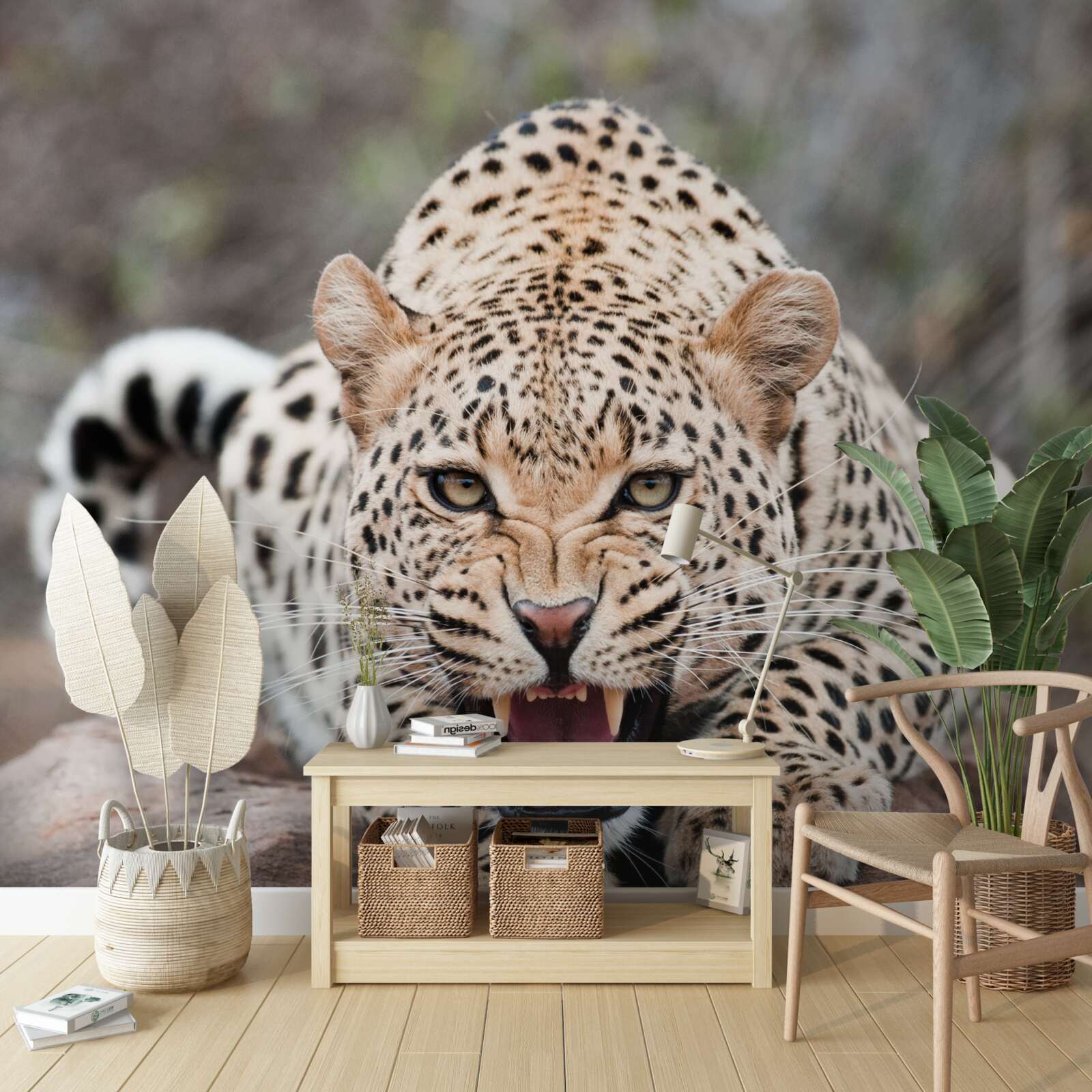 Fototapeten Aufgeregter Leopard, der sich auf den Sprung vorbereitet