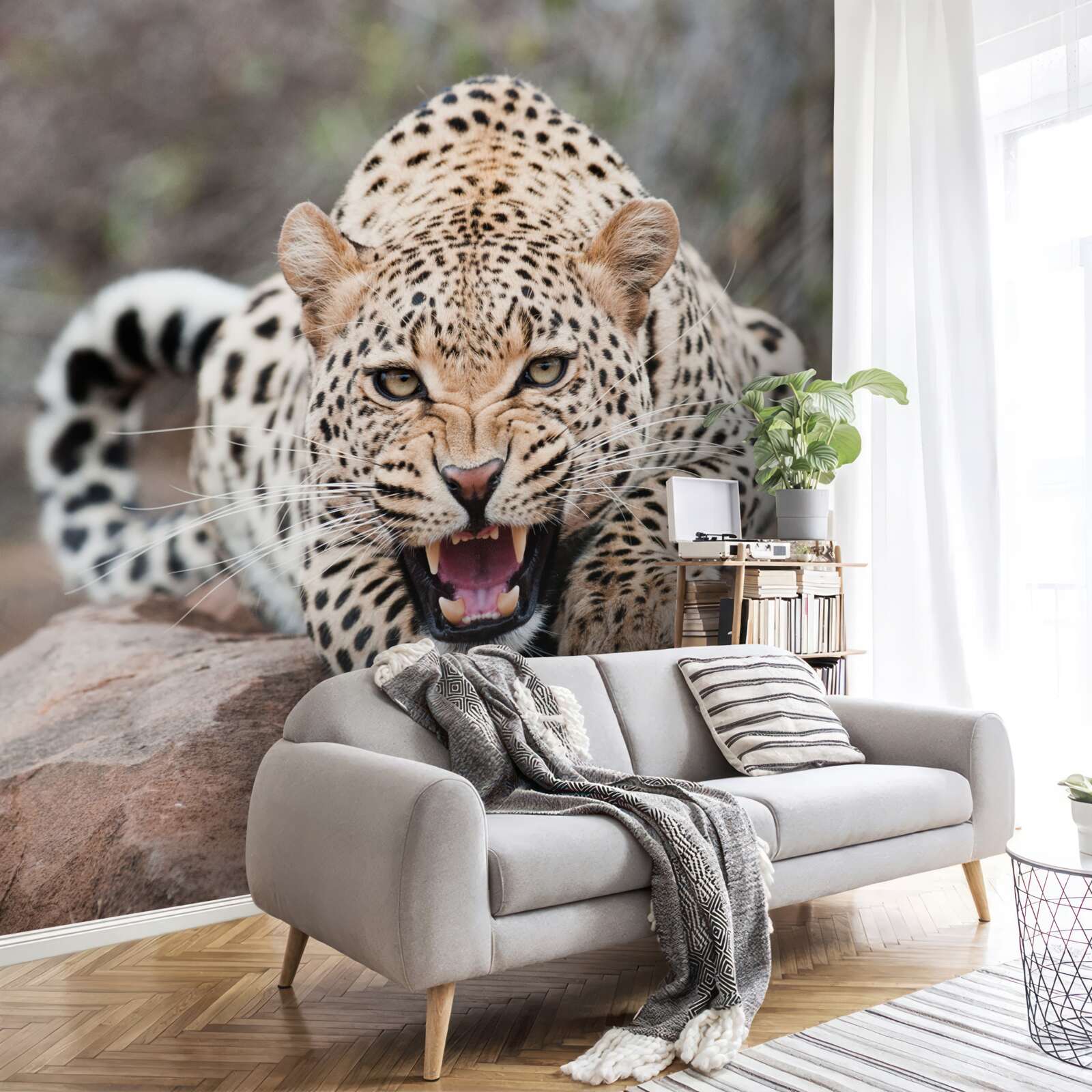 Fototapeten Aufgeregter Leopard, der sich auf den Sprung vorbereitet