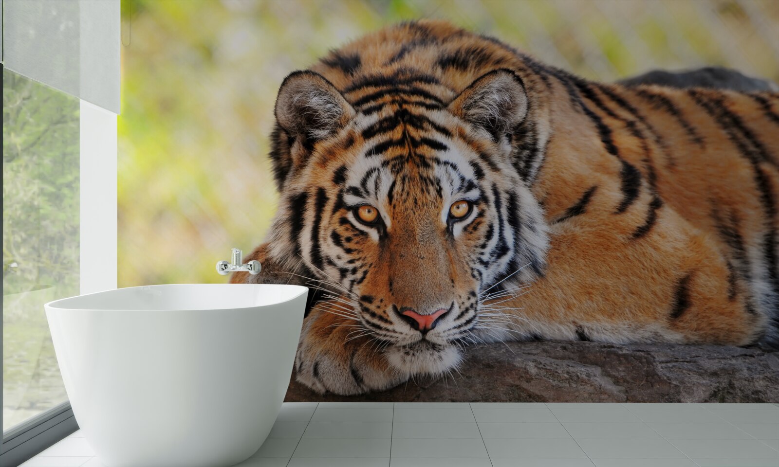Fototapeten Tiger -Raubtier wurde überfallen