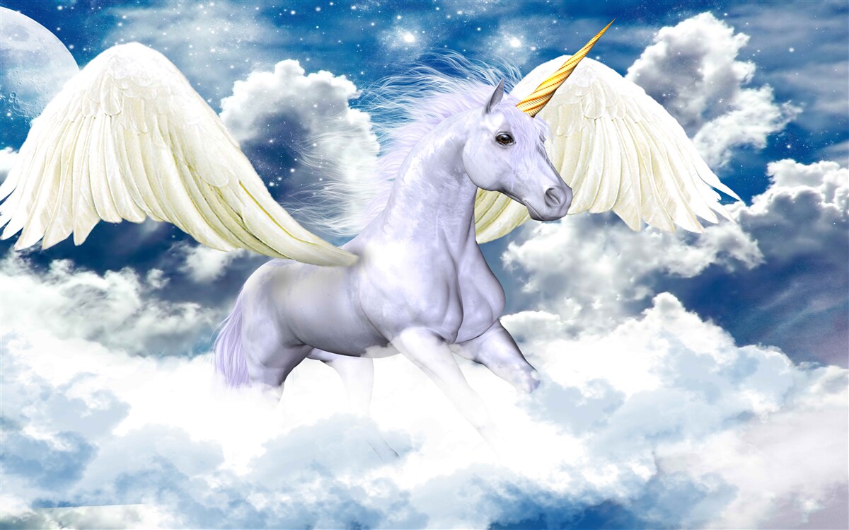 Fototapeten Pegasus gleitet zwischen Wolken