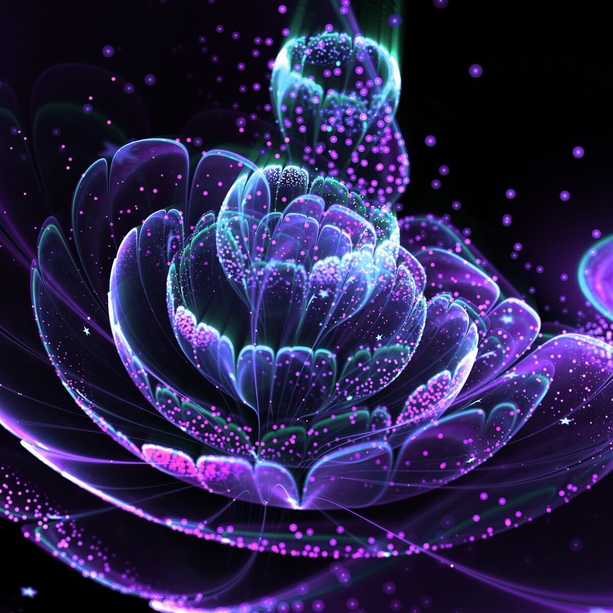 Fototapeten Zusammenfassung blauer Blume auf einem schwarzen Hintergrund