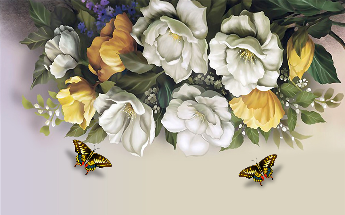 Fototapeten Zwei Lepidopter in weißen und gelben Tulpen