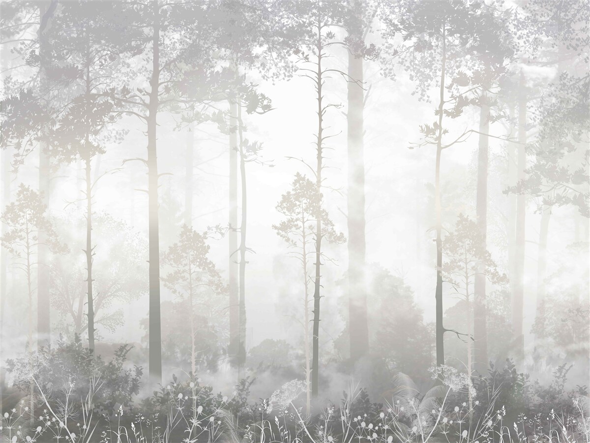 Fototapeten Nebel unbekannt in der Wüste