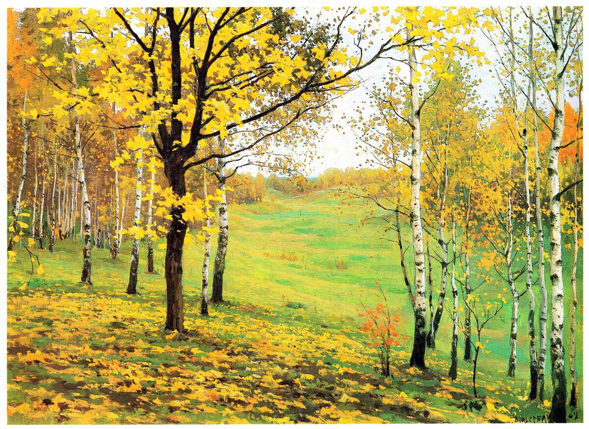 Fototapeten Der Herbstwald ist erstaunliche Farbtöne