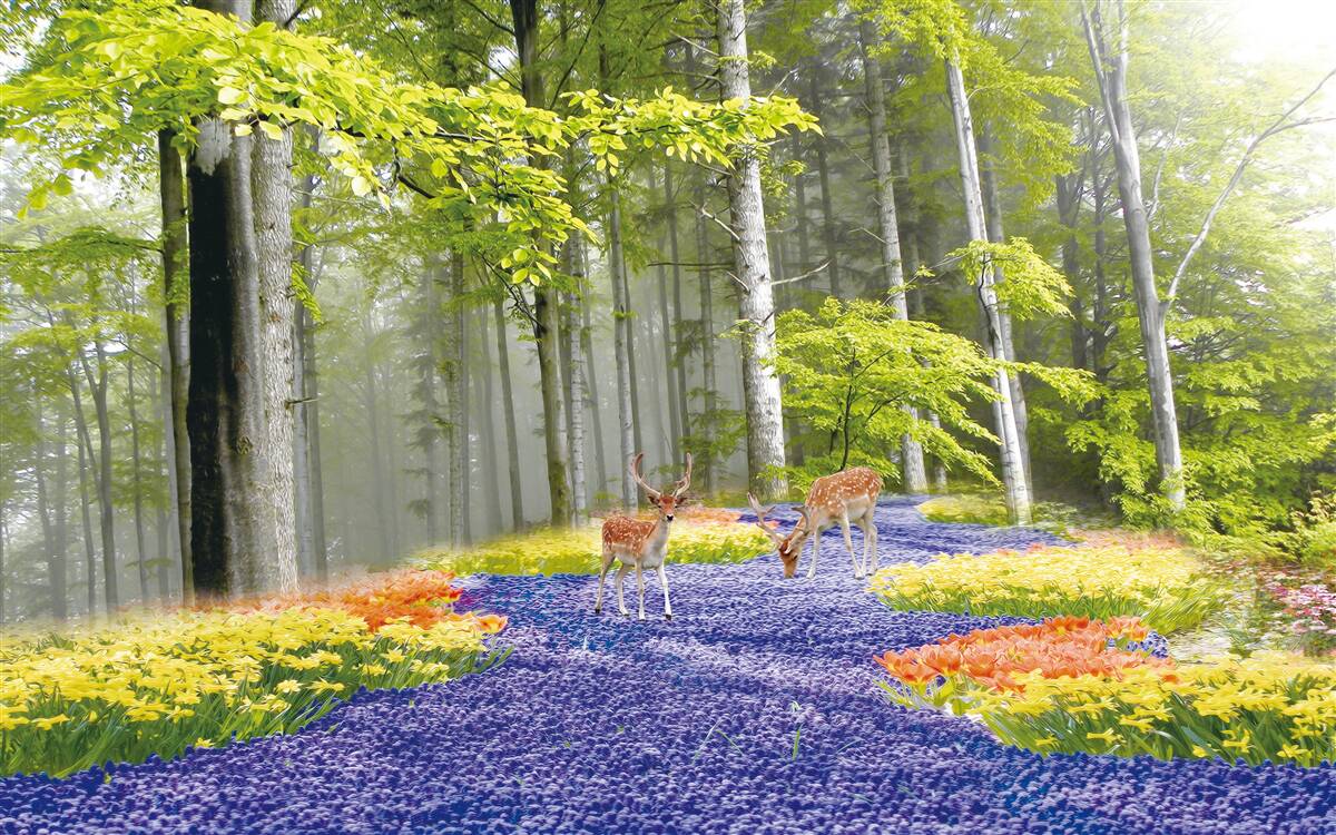 Fototapeten Hirschspaziergang im grünen Wald