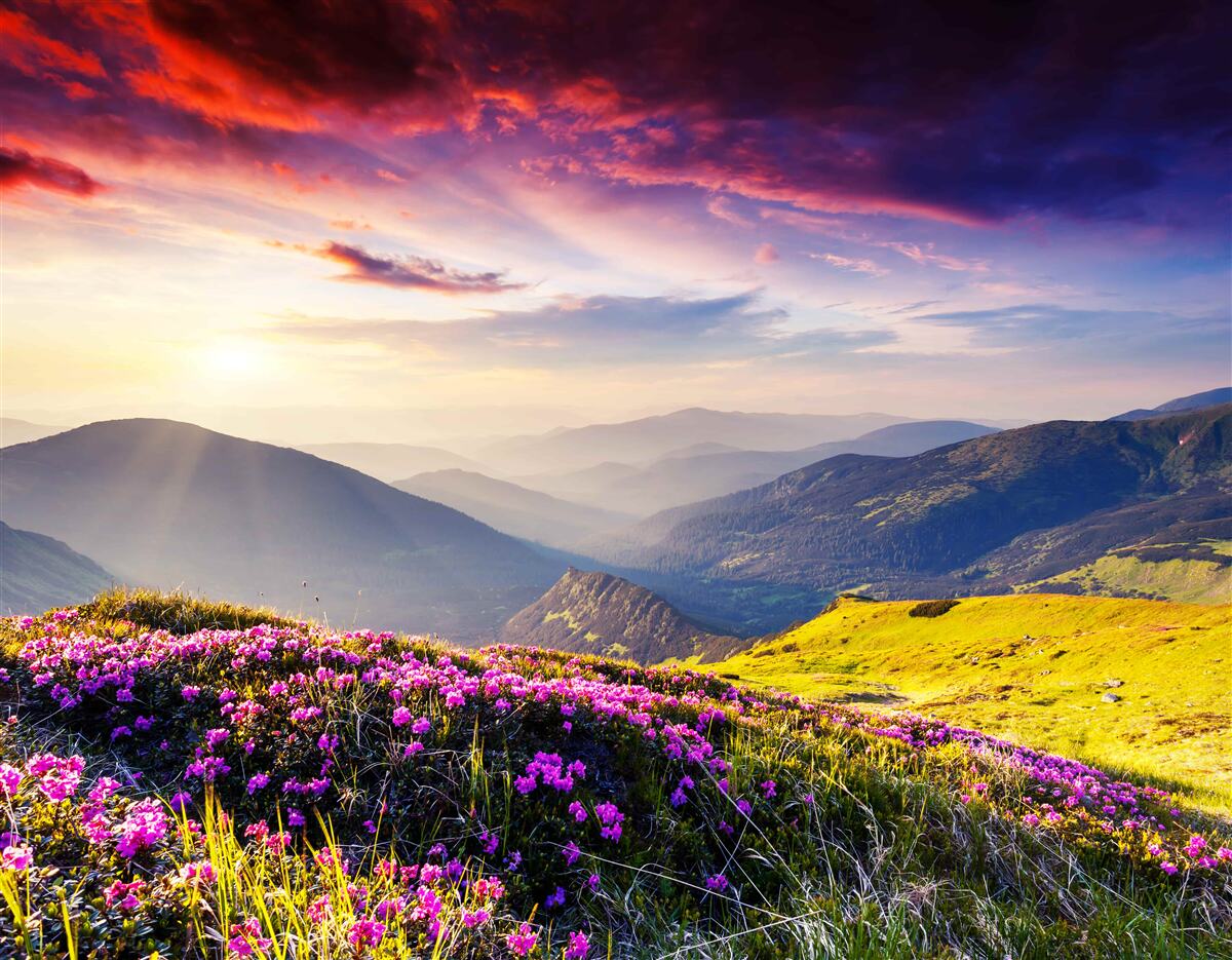 Fototapeten Im Morgengrauen werden Mountain Hills mit lebendigen Farben zum Leben erweckt